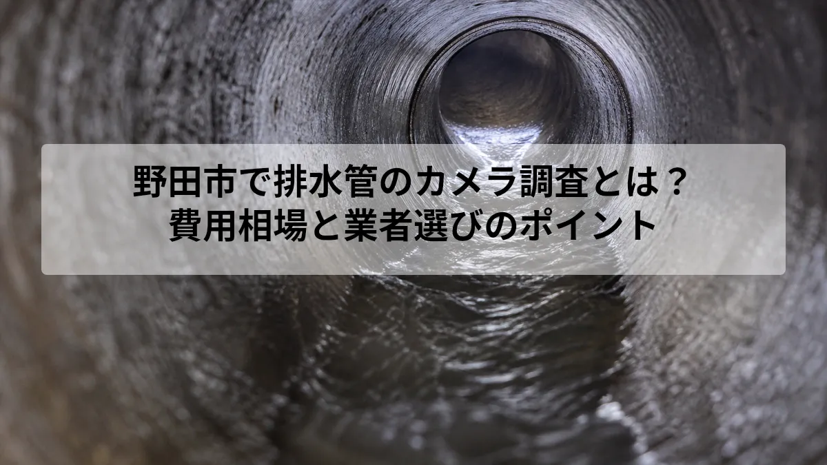 野田市 排水管 カメラ調査