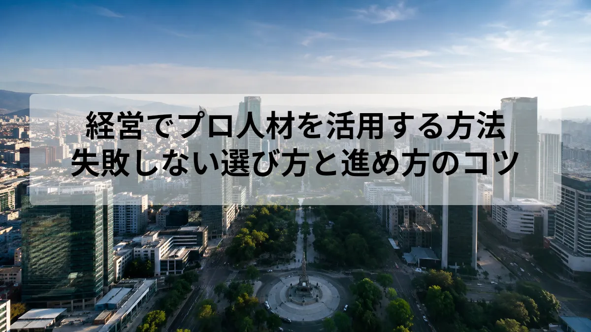 経営 プロ人材 活用