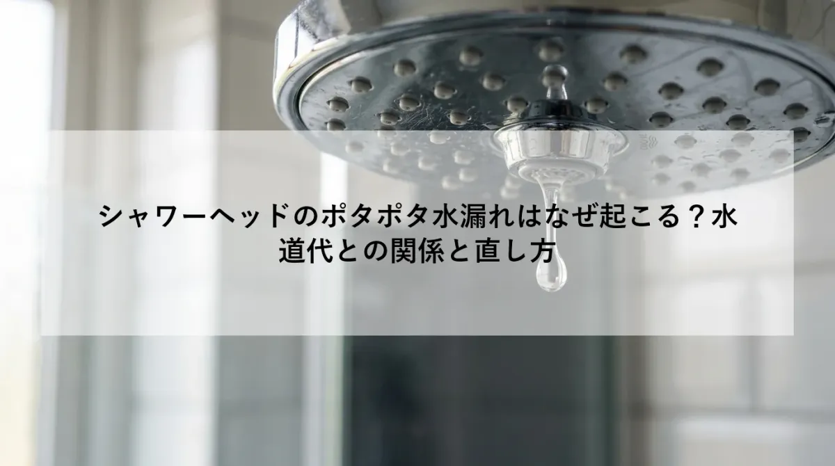 シャワーヘッドのポタポタ水漏れはなぜ起こる？水道代との関係と直し方