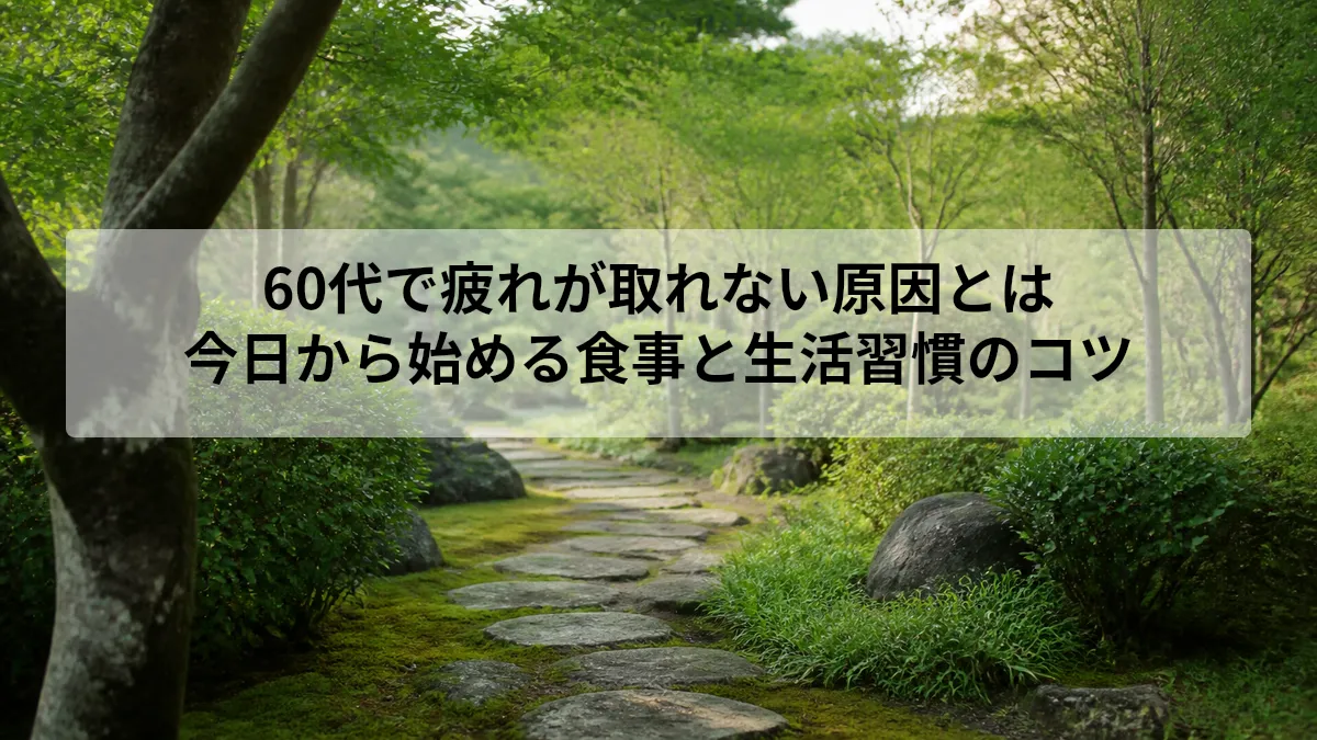60代 疲れが取れない