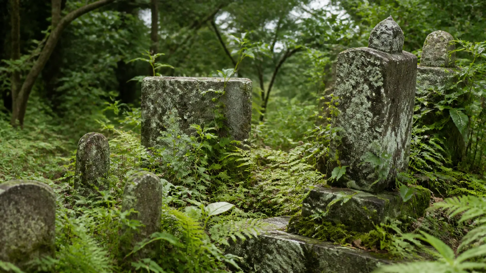 栃木 お墓 後継者 いない