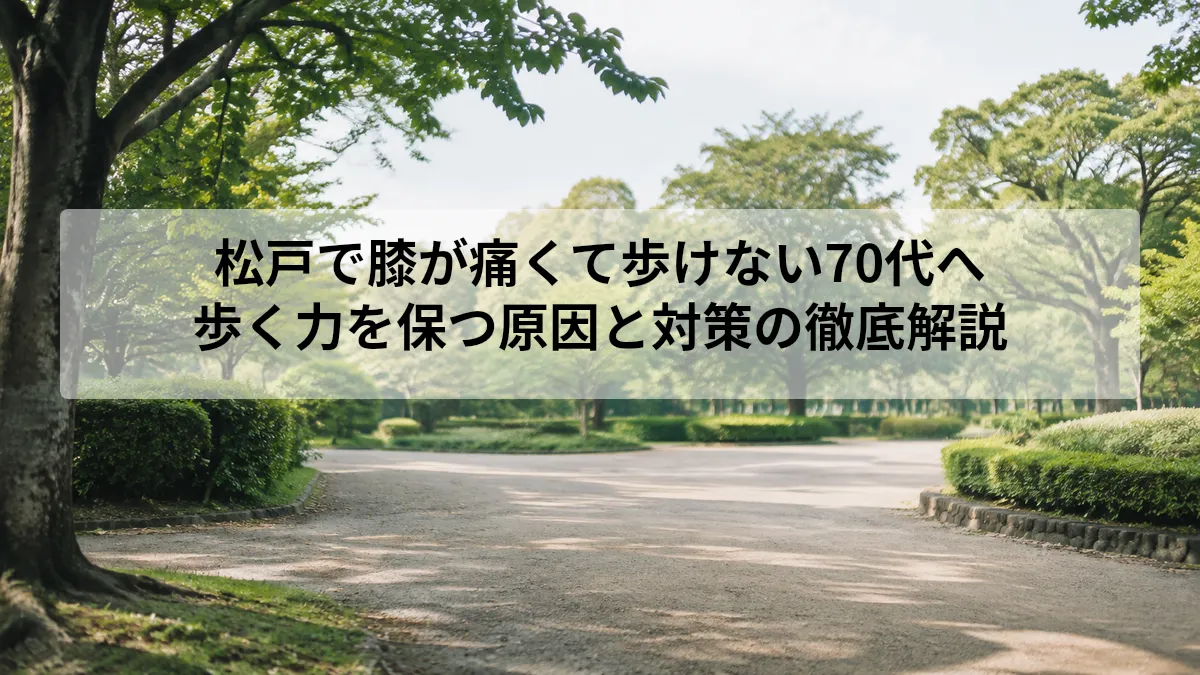松戸 膝が痛くて歩けない 70代