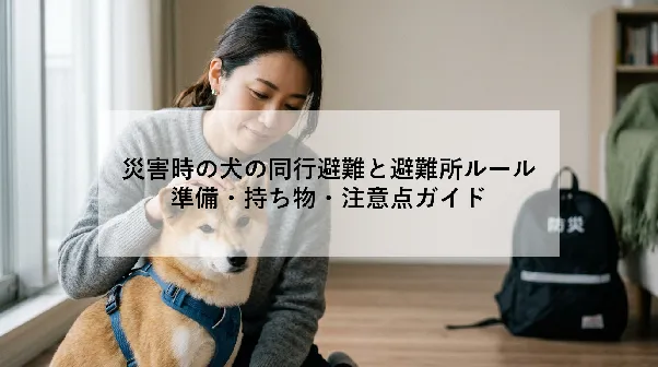 災害時の犬の同行避難と避難所ルール｜準備・持ち物・注意点ガイド