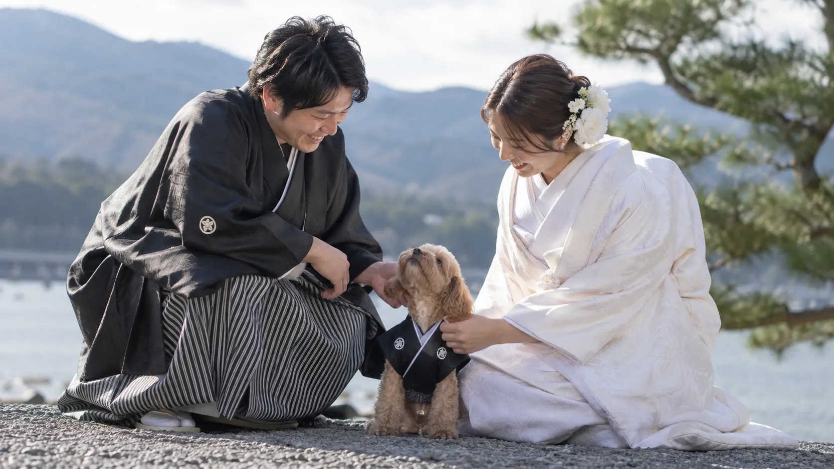出雲市 結婚式場 ペット