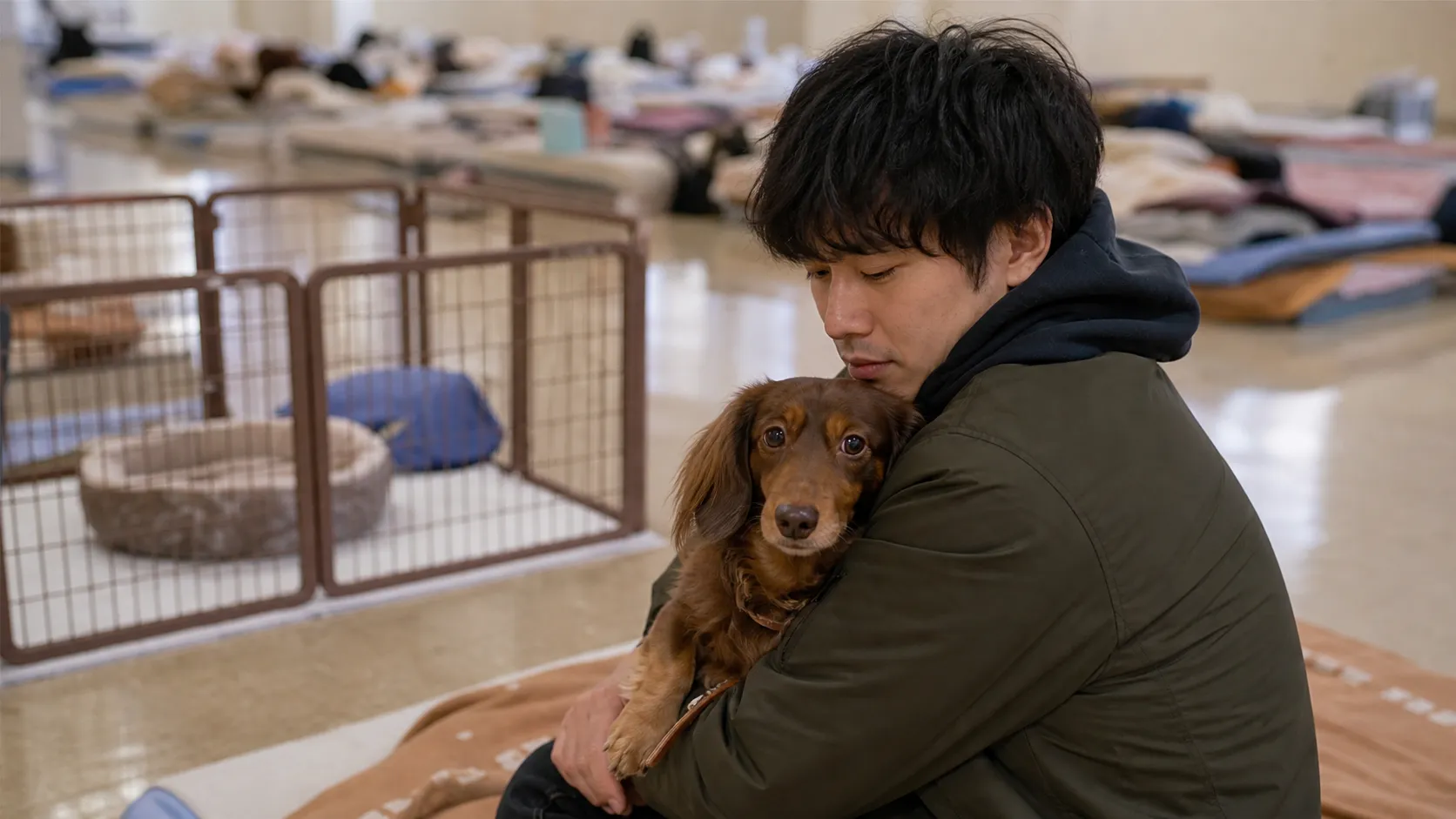 愛犬 避難所 過ごし方