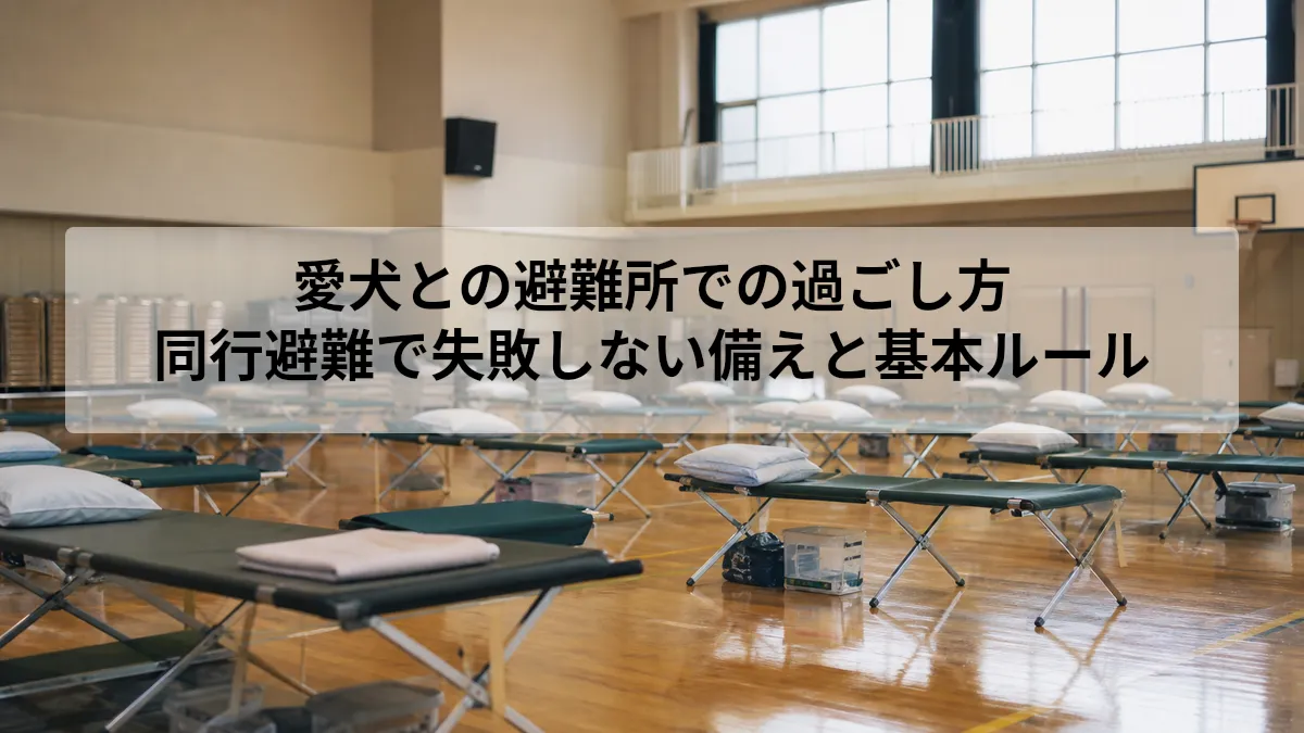愛犬との避難所での過ごし方｜同行避難で失敗しない備えと基本ルール